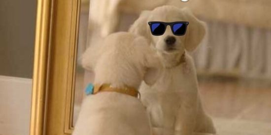 Imagem do grupo de WhatsApp mano shitpost legais