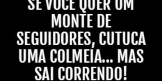 Imagem do grupo de WhatsApp CHUVA DE SEGUIDORES