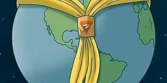 Imagem do grupo de WhatsApp Projeto Los_Dbv's 4