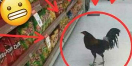 Imagem do grupo de WhatsApp aprovação