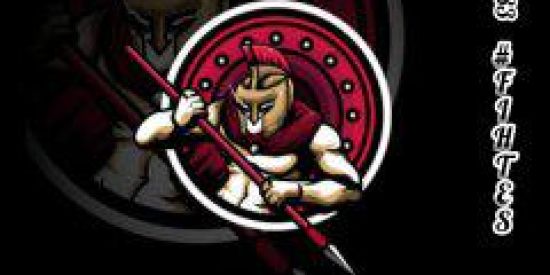 Imagem do grupo de WhatsApp Fighters⚔️