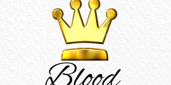 Imagem do grupo de WhatsApp Projeto Blood Followers