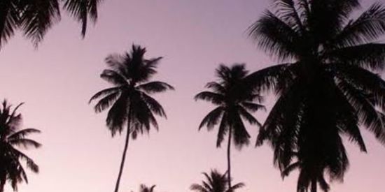 Imagem do grupo de WhatsApp 🌴°•Paraiso 3.0•°》🔥