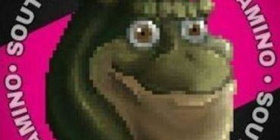 Imagem do grupo de WhatsApp SAM