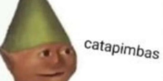 Imagem do grupo de WhatsApp CATAPIMBAS