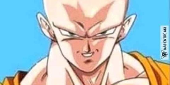 Imagem do grupo de WhatsApp Grupo Anti Gado