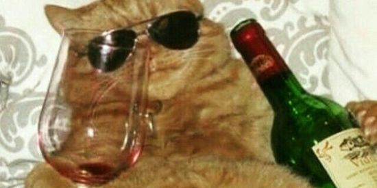 Imagem do grupo de WhatsApp rap do mine
