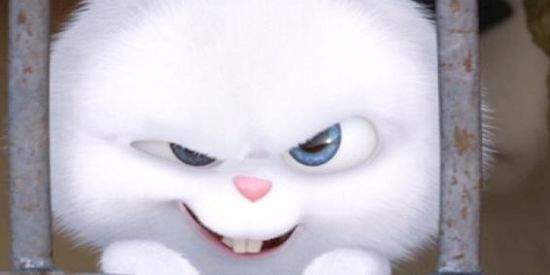 Imagem do grupo de WhatsApp gRႮPᝪ DE FigႮRiNHᗅՏ🚀