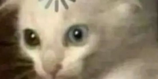 Imagem do grupo de WhatsApp Figurinhas animadas👁️👄👁️