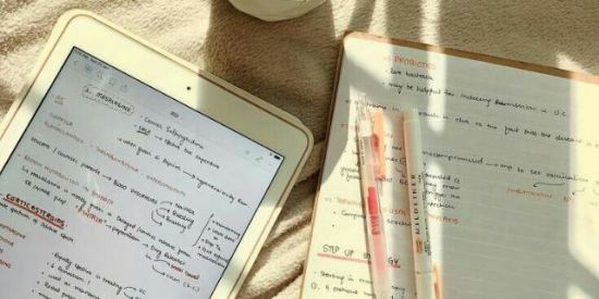 Imagem do grupo de WhatsApp Studies📒❤