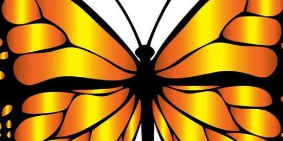 Imagem do grupo de WhatsApp 🦋Projeto curtidas🦋