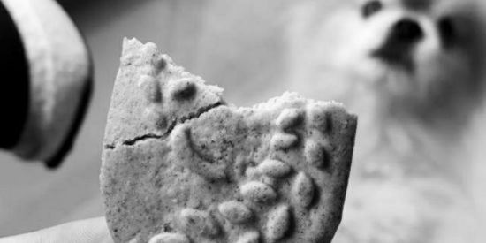 Imagem do grupo de WhatsApp 👽 STICKERS & ZOEIRA 🔥