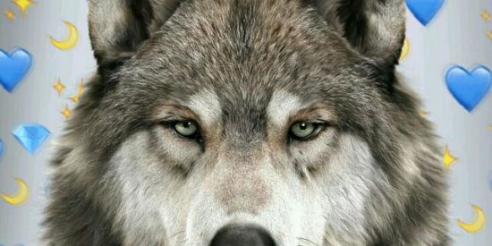 Imagem do grupo de WhatsApp ♤Treinamento de Adms MSZ♤