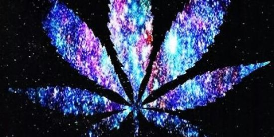 Imagem do grupo de WhatsApp B R O K L I I N🌚 1968🌈🔮🍁