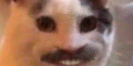 Imagem do grupo de WhatsApp ⨻ᎷЇᏃ⨻ᗫЄ₷ | Ꮇ玄Ꮇ玄₷