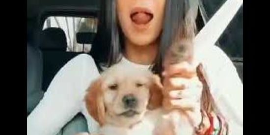 Imagem do grupo de WhatsApp Fãs de Sabina Hidalgo BR🇲🇽