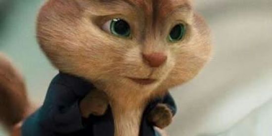 Imagem do grupo de WhatsApp 📲VÍDEOS ENGRAÇADOS📱