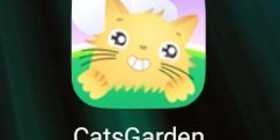 Imagem do grupo de WhatsApp CATS GARDEN APP PAGANDO ✅