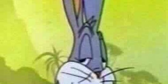 Imagem do grupo de WhatsApp Pernalonga comunista👺