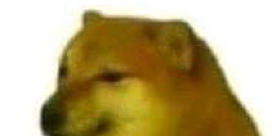 Imagem do grupo de WhatsApp ⚀⚁⚂ṞP̱G̱⚃⚄⚅