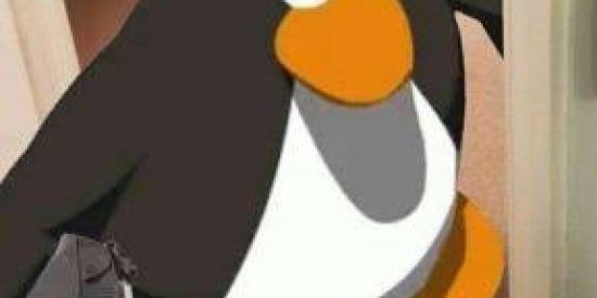 Imagem do grupo de WhatsApp Não ademir