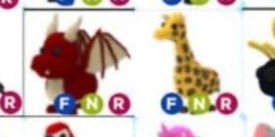 Imagem do grupo de WhatsApp Adopt-me