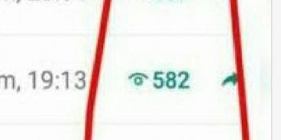 Imagem do grupo de WhatsApp Contatinhos😍