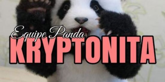 Imagem do grupo de WhatsApp Equipe panda🐼