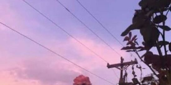 Imagem do grupo de WhatsApp ☆project urges☆