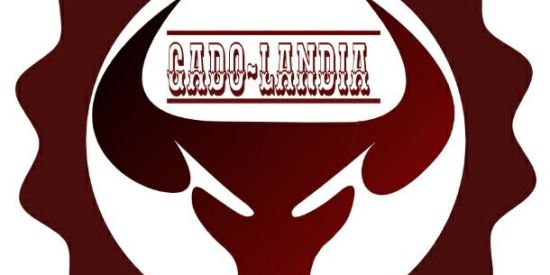 Imagem do grupo de WhatsApp 🔥🐃ǤΔĐØ ŁΔŇĐƗΔ🐃🔥