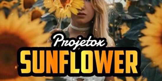 Imagem do grupo de WhatsApp ➋  ⌇ 🌻ᴘʀᴏᴊᴇᴛᴏ sᴜɴғʟᴏᴡᴇʀ🌻