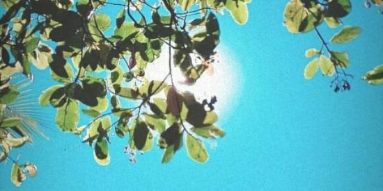 Imagem do grupo de WhatsApp Ainda há esperança 🌻