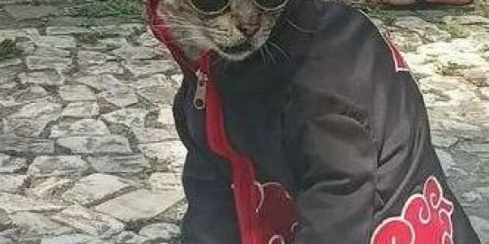 Imagem do grupo de WhatsApp União flasco