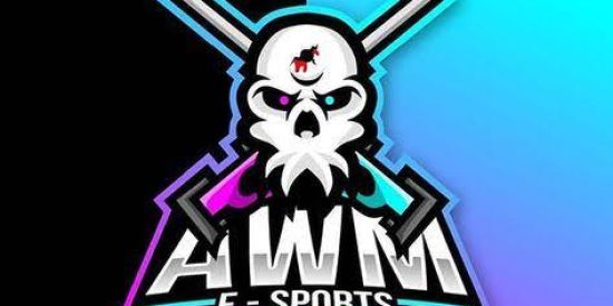 Imagem do grupo de WhatsApp AWM   E-SPORTS
