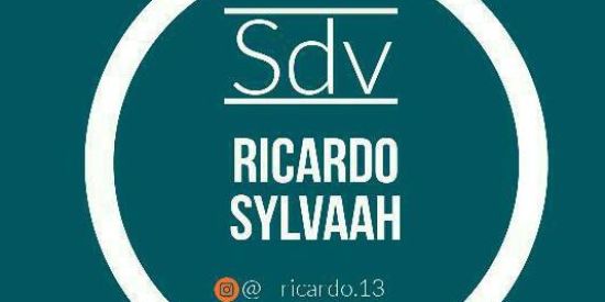 Imagem do grupo de WhatsApp SDV Ricardo Sylvaah✅🍃❤️