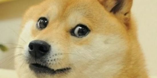 Imagem do grupo de WhatsApp Só vagabundagem