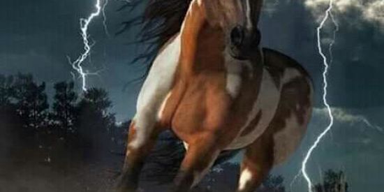 Imagem do grupo de WhatsApp 🐴Cavaleiros raís🎠