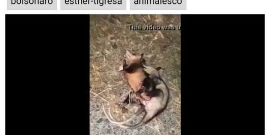 Imagem do grupo de WhatsApp beninha