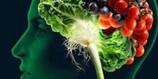 Imagem do grupo de WhatsApp Dieta começa pela mente!🤯