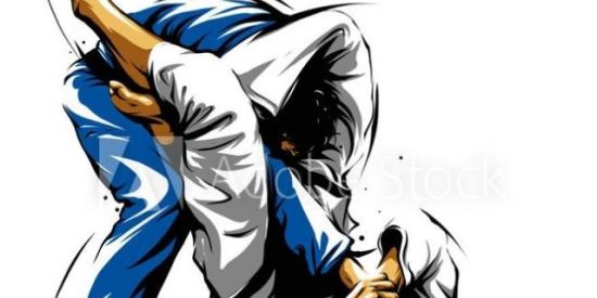 Imagem do grupo de WhatsApp Jiu-jitsu é o foco💪🏼❤️🥋