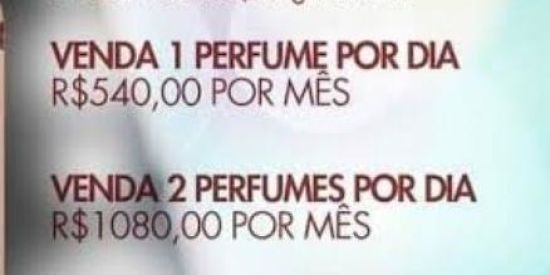 Imagem do grupo de WhatsApp VENDA PERFUME DE BOLSA