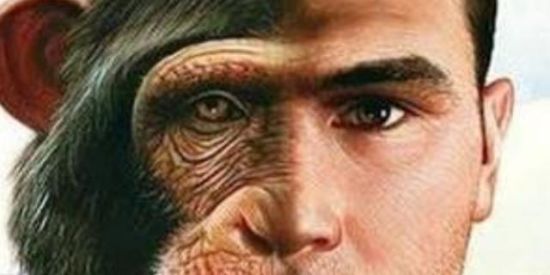 Imagem do grupo de WhatsApp Intelectualismo Objetivo