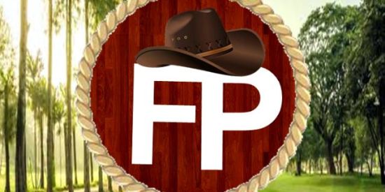 Imagem do grupo de WhatsApp Flávia Pfaffenbach