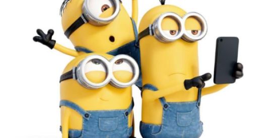 Imagem do grupo de WhatsApp Idiotas de plantão