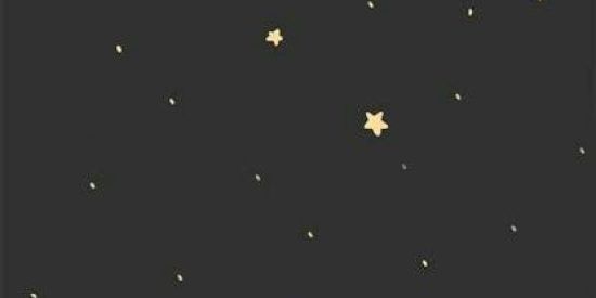 Imagem do grupo de WhatsApp 1🔥|| 🌟Prσjєτσ Esτrєlαr🌟