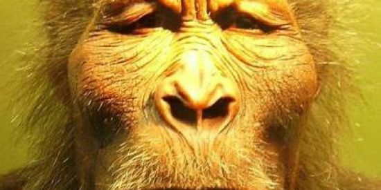 Imagem do grupo de WhatsApp Shitpost//nego ney