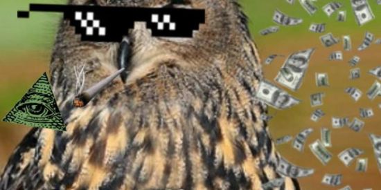 Imagem do grupo de WhatsApp Toca do Coruja