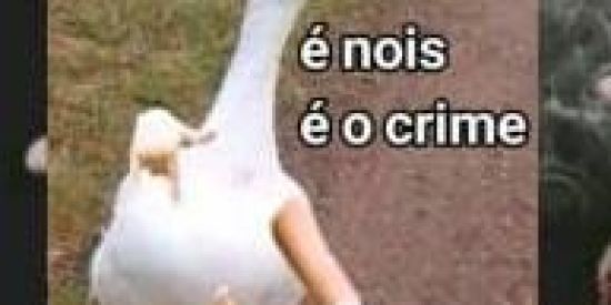 Imagem do grupo de WhatsApp Troca de Figurinhas😎😀