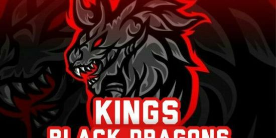 Imagem do grupo de WhatsApp ✨👑RECRUTAMENTO [кв'∂]✨👑