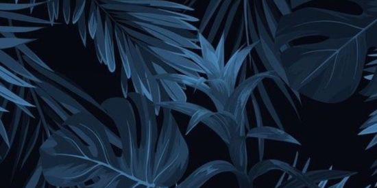 Imagem do grupo de WhatsApp Para entrar no bonde🔥